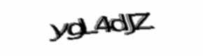 Security check image, please type the characters shown